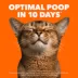 IAMS Proactive Health Cat Dry Food Salmon Flavour for Kittens image thumbnail 2