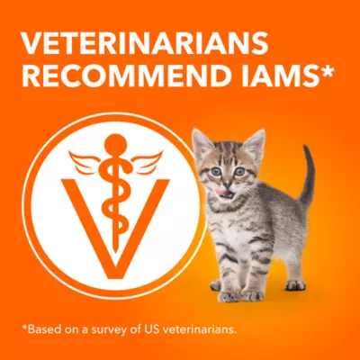 IAMS Proactive Health Cat Dry Food Salmon Flavour for Kittens - Image 4
