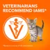 IAMS Proactive Health Cat Dry Food Salmon Flavour for Kittens image thumbnail 4