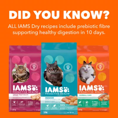 IAMS Proactive Health Cat Dry Food Salmon Flavour for Kittens - Image 5