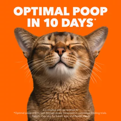 Iams Proactive Health Adult Cat Dry Food Salmon Flavour - Image 2