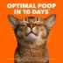 Iams Proactive Health Adult Cat Dry Food Salmon Flavour image thumbnail 2