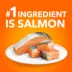 Iams Proactive Health Adult Cat Dry Food Salmon Flavour image thumbnail 3