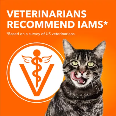 Iams Proactive Health Adult Cat Dry Food Salmon Flavour - Image 4