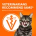 Iams Proactive Health Adult Cat Dry Food Salmon Flavour image thumbnail 4