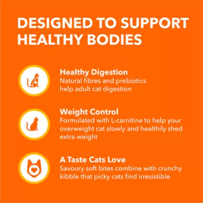 Iams Proactive Health Adult Cat Dry Food Salmon Flavour - Image 6