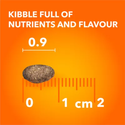 Iams Proactive Health Adult Cat Dry Food Salmon Flavour - Image 8