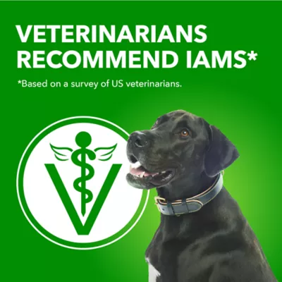 IAMS PROACTIVE HEALTH Canned Dog Food - Chunks in Gravy for Adult Dog - Image 7