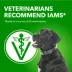 IAMS PROACTIVE HEALTH Canned Dog Food - Chunks in Gravy for Adult Dog image thumbnail 7