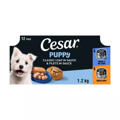 CESAR Selection of Loaf in Sauce & Filets in Sauce Soft Wet Food for Puppy - Chicken & Beef Flavour - Image 1