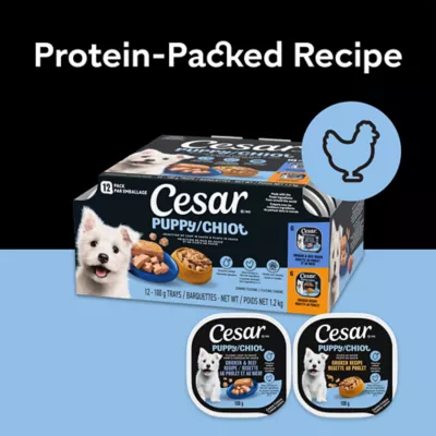 CESAR Selection of Loaf in Sauce & Filets in Sauce Soft Wet Food for Puppy - Chicken & Beef Flavour - Image 4