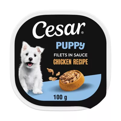 CESAR Filets in Sauce Soft Wet Food for Puppy - Chicken Flavour - Image 1