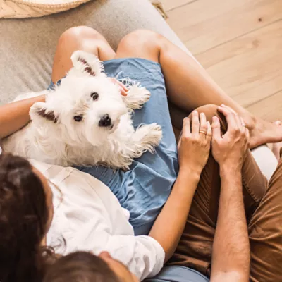 CESAR Filets in Sauce Soft Wet Food for Puppy - Chicken Flavour - Image 6