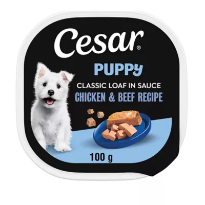 CESAR Classic Loaf in Sauce Soft Wet Dog Food for Puppy - Chicken & Beef Flavour - Image 1
