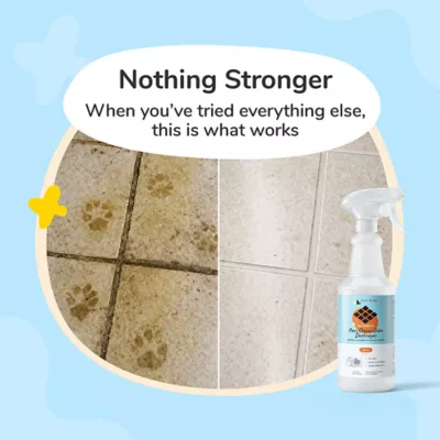 kin + kind Pee/Stain/Odor Destroyer, Multi-Surface Cleaning Spray, Citrus Scent- 32 Oz - Image 2