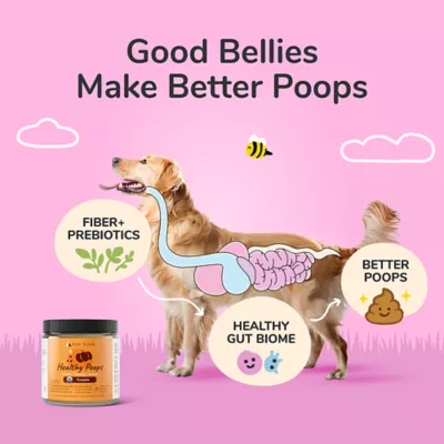 kin+kind Healthy Poops Digestive Supplement for Dog & Cat, Fiber & Prebiotic, Pumpkin, 4 & 8 oz jar - Image 2