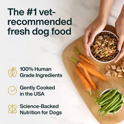 JustFoodForDogs JustFresh Boost Adult Dog Food Topper - Sensitive Skin Support, Chicken & Quinoa - Image 2