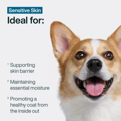 JustFoodForDogs JustFresh Boost Adult Dog Food Topper - Sensitive Skin Support, Chicken & Quinoa - Image 3