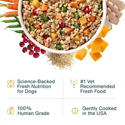 JustFoodForDogs Adult Fresh Dog Food - Healthy Weight - Image 2