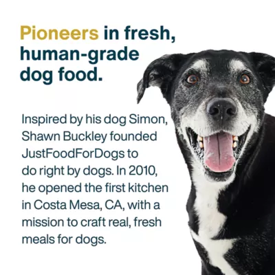 JustFoodForDogs Adult Fresh Dog Food - Healthy Weight - Image 4