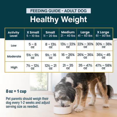 JustFoodForDogs Adult Fresh Dog Food - Healthy Weight - Image 6