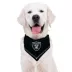Pets First Las Vegas Raiders Tie Bandana image thumbnail 3