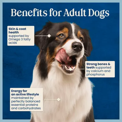 Blue Buffalo Love Made Fresh Adult Fresh Dog Food - Chicken Stew - Image 7