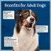 Blue Buffalo Love Made Fresh Adult Fresh Dog Food - Chicken Stew image thumbnail 7
