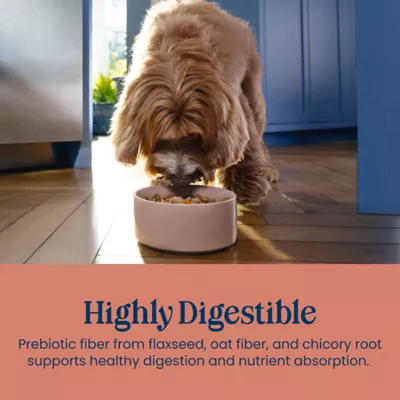 Blue Buffalo Love Made Fresh Adult Fresh Dog Food - Beef Stew - Image 4