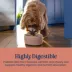 Blue Buffalo Love Made Fresh Adult Fresh Dog Food - Beef Stew image thumbnail 4