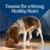 Blue Buffalo Love Made Fresh Adult Fresh Dog Food - Chicken Stew image thumbnail 8