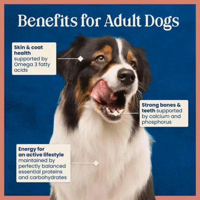 Blue Buffalo Love Made Fresh Adult Fresh Dog Food - Beef Stew - Image 7