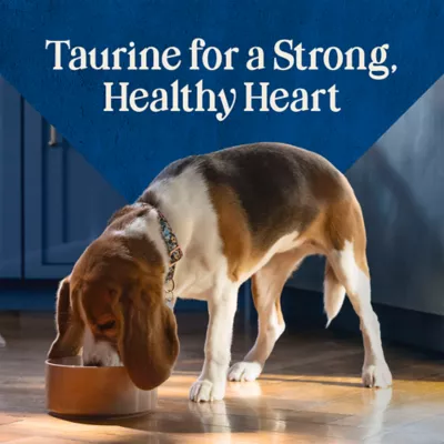 Blue Buffalo Love Made Fresh Small Breed Adult Fresh Dog Food - Chicken Stew - Image 8