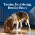 Blue Buffalo Love Made Fresh Small Breed Adult Fresh Dog Food - Beef Stew image thumbnail 8