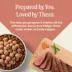 Blue Buffalo Love Made Fresh Adult Fresh Dog Food - Beef Cooked Meatball image thumbnail 8
