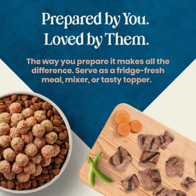 Blue Buffalo Love Made Fresh Small Breed Adult Fresh Dog Food - Beef Cooked Meatball - Image 8