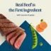 Blue Buffalo Love Made Fresh Adult Fresh Dog Food - Beef Cooked Meatball image thumbnail 4