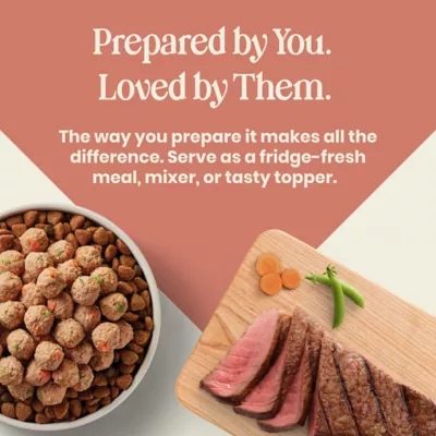 Blue Buffalo Love Made Fresh Adult Fresh Dog Food - Beef Cooked Meatball - Image 8