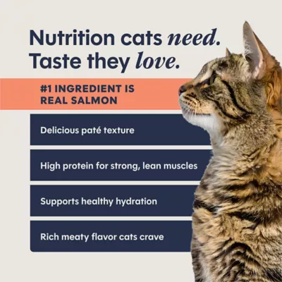 Instinct - Split Cup Wet Cat Food, Pate, Grain-Free Chicken, Multipack, 12 Count - Image 5