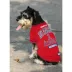 Los Angeles Angels MLB Team Tee image thumbnail 3