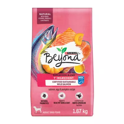Beyond Superfood Blend Wild Caught Salmon, Egg & Pumpkin Recipe Dry Cat Food - Image 1
