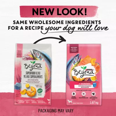 Beyond Superfood Blend Wild Caught Salmon, Egg & Pumpkin Recipe Dry Cat Food - Image 2