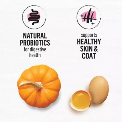 Beyond Superfood Blend Wild Caught Salmon, Egg & Pumpkin Recipe Dry Cat Food - Image 4