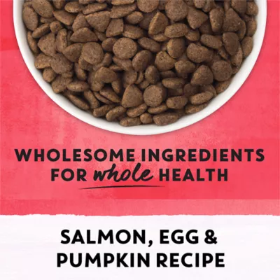 Beyond Superfood Blend Wild Caught Salmon, Egg & Pumpkin Recipe Dry Cat Food - Image 8