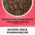 Beyond Superfood Blend Wild Caught Salmon, Egg & Pumpkin Recipe Dry Cat Food image thumbnail 8