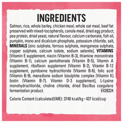 Beyond Superfood Blend Wild Caught Salmon, Egg & Pumpkin Recipe Dry Cat Food - Image 9