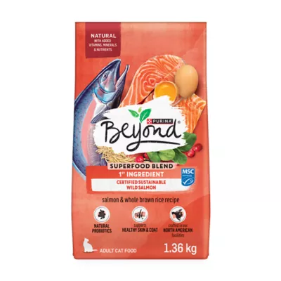 Beyond Simply Salmon & Whole Brown Rice Recipe, Dry Cat Food - Image 1