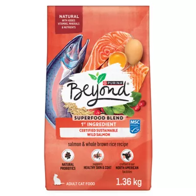 Beyond Simply Salmon & Whole Brown Rice Recipe, Dry Cat Food - Image 2