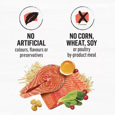 Beyond Simply Salmon & Whole Brown Rice Recipe, Dry Cat Food - Image 7
