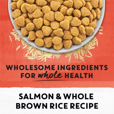 Beyond Simply Salmon & Whole Brown Rice Recipe, Dry Cat Food - Image 8